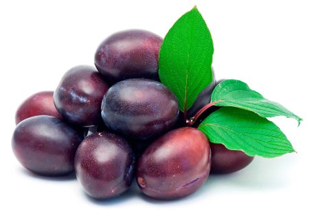 Слива неженка