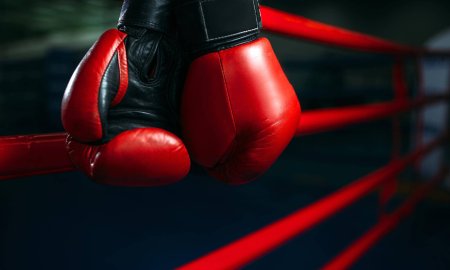 Ян Хохоев бокс