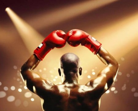 Боксерская тематика