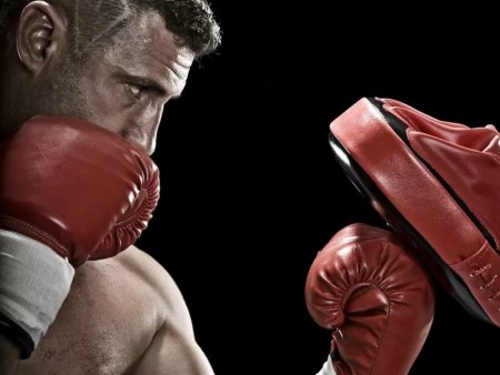 Бокс тренировка