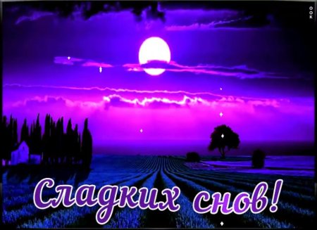 Спокойной ночи сладких снов