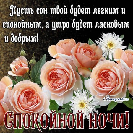 Пожелания доброй ночи женщине