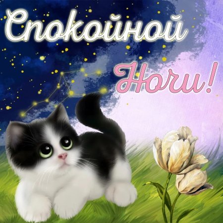 Открытки спокойной ночи