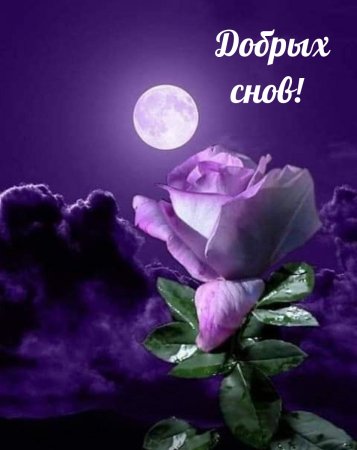 Хорошей ночи