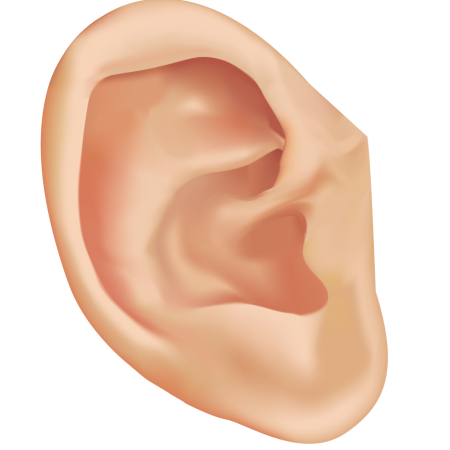 Ухо мультяшное