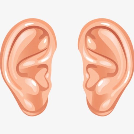 Ухо картинка для детей