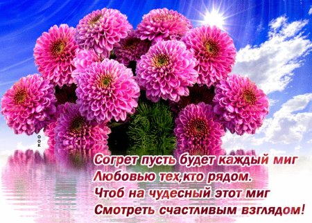 Открытки с днем рождения хризантемы