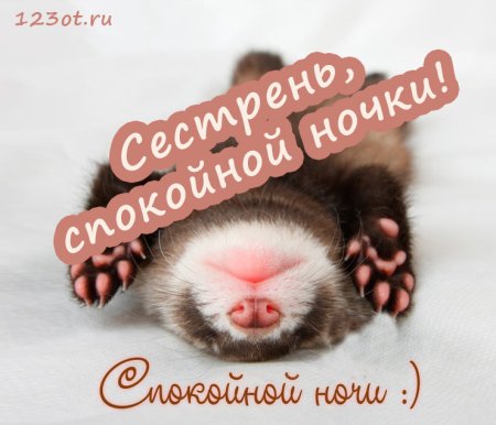 Спокойной ночи сестренка