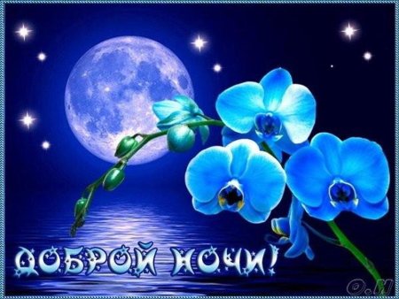 Доброй ночи сестренка