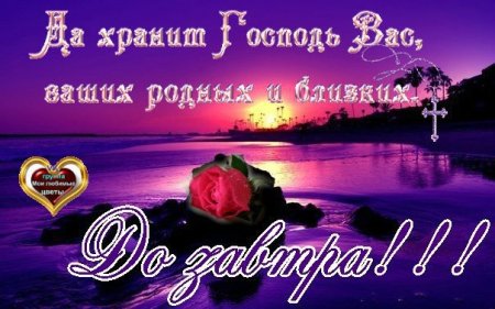 Доброй ночи Мои родные