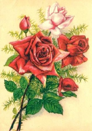Советские открытки цветы