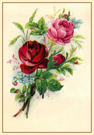 Советские открытки с розами