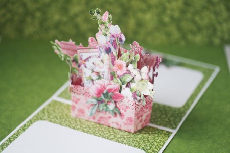 Цветок поп ап