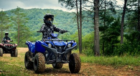 Квадроцикл Yamaha Grizzly 300