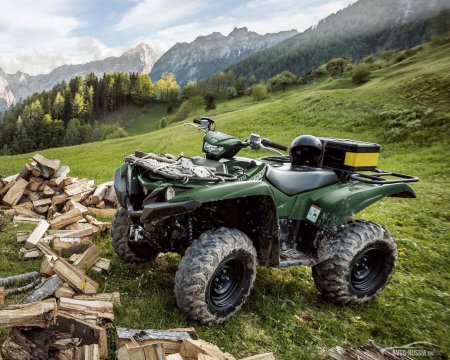 Yamaha Grizzly 2020