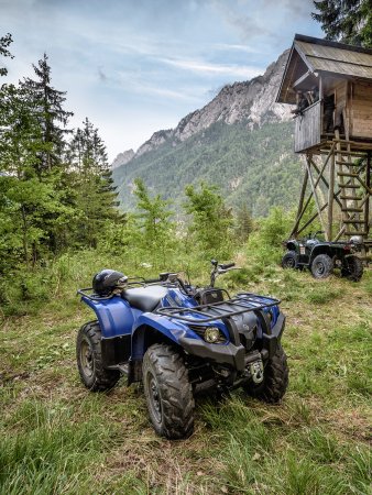 Yamaha Grizzly 450 eps