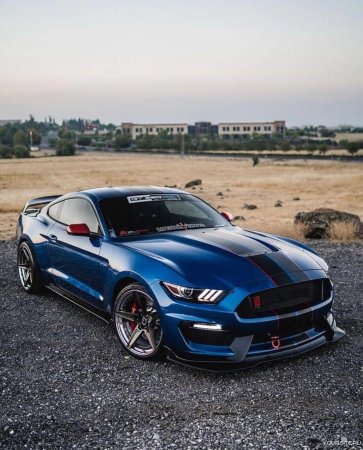 Форд Мустанг Шелби gt 500