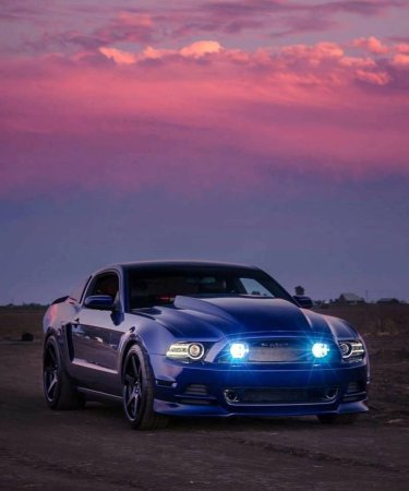 Мустанг Форд Мустанг