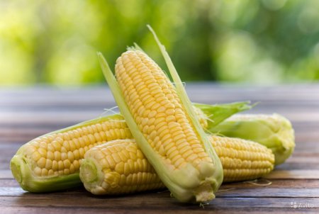 Кукуруза Sweet Corn