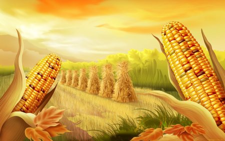 Кукуруза фон