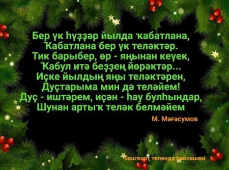 Стих про яңы йыл с автором