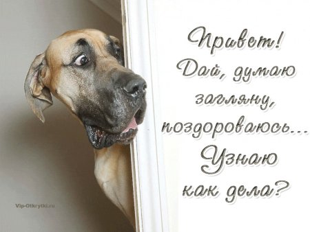 Открытки и снова Здравствуйте прикольные