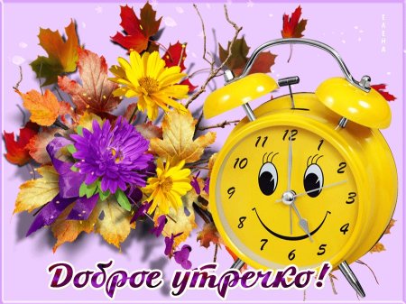 Здравствуйте доброе утро