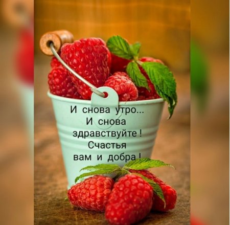 И снова утро и снова Здравствуйте