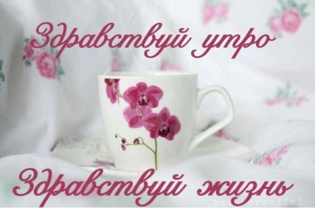 И снова с добрым утром