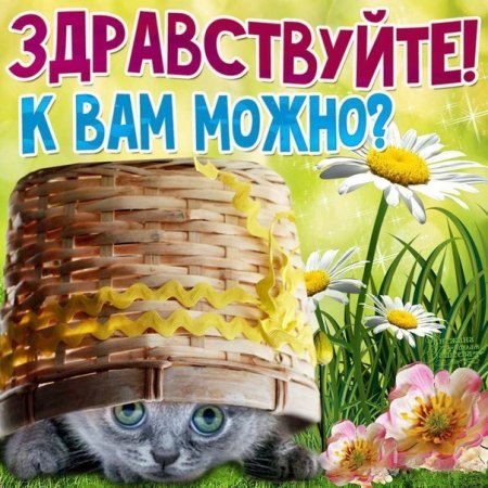 Здравствуйте открытки красивые