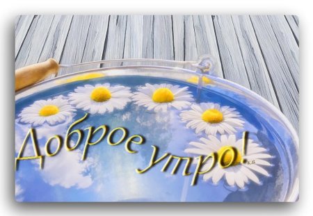И снова Здравствуйте доброе утро