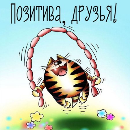 Здравствуй друг