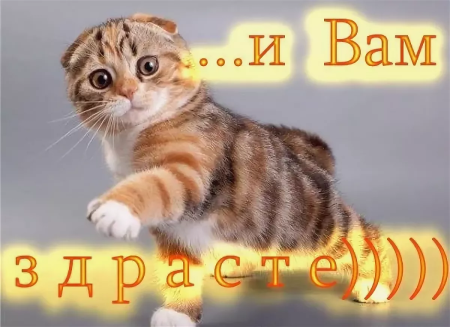 Открытки здрасте вам