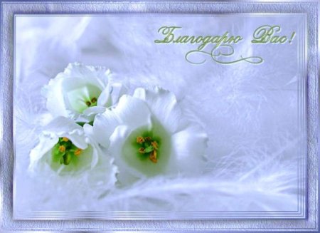 Христианские открытки с благодарностью