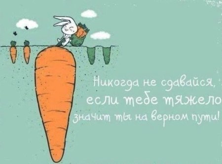 Цитаты для ЛД