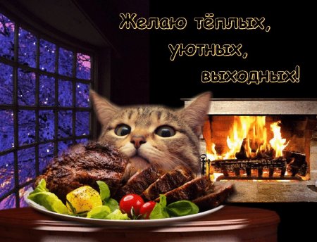 Уютного вечера