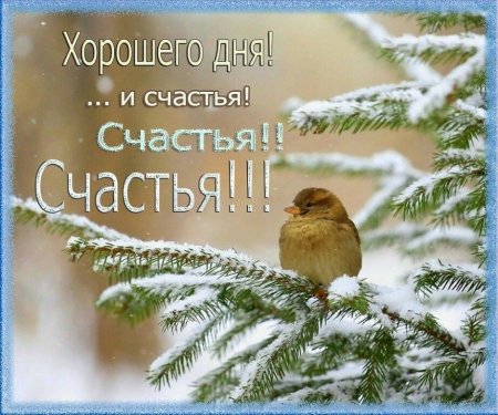 Доброе Снежное утро