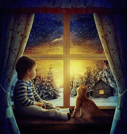 Спокойной ночи с котиками у окна