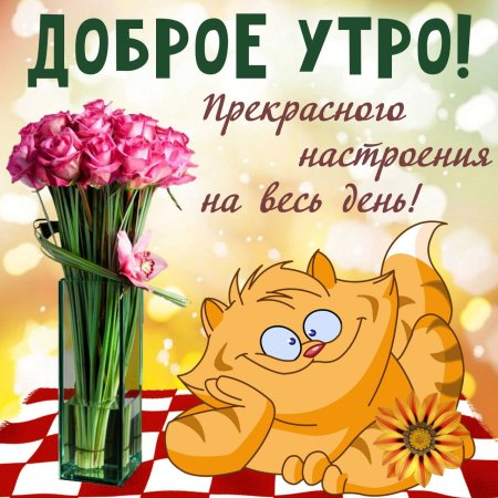Пожелания с добрым утром прикольные