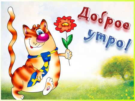 Открытки доброе утро прикольные