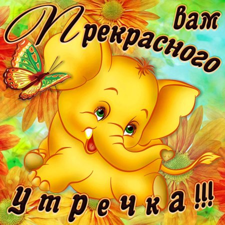 Открытки с добрым утром прикольные