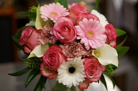 Шикарные цветы