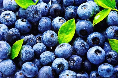 Голубика ягода