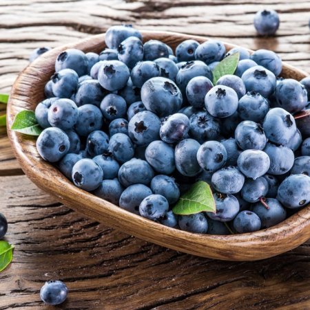 Черника голубика ежевика