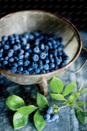 Черника голубика ежевика