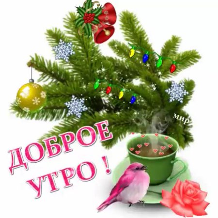 Доброго зимнего утра и хорошего дня
