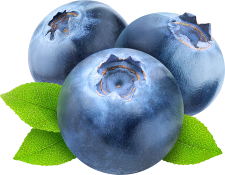 Голубика на белом фоне