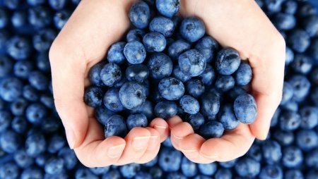 Черника Блуберри