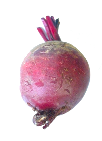 Свекла, сетка