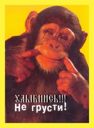 Не грусти открытка смешная
